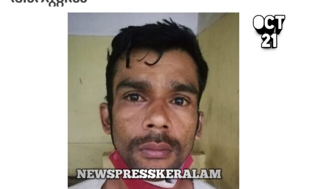 9 വയസ്സുകാരിയെ പീഡനത്തിനിരയാക്കിയ യുവാവ് അറസ്റ്റിൽ