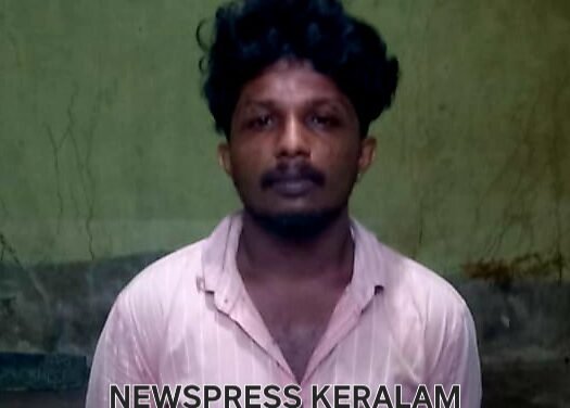 മയക്കുമരുന്ന് വ്യാപാരികളുടെ സുപ്രധാന കണ്ണി  MDMA യും ലഹരി ഗുളികകളുമായി ഗണപതി ആനന്ദ് നെയ്യാറ്റിൻകര എക്സൈസിന്റെ പിടിയിൽ*